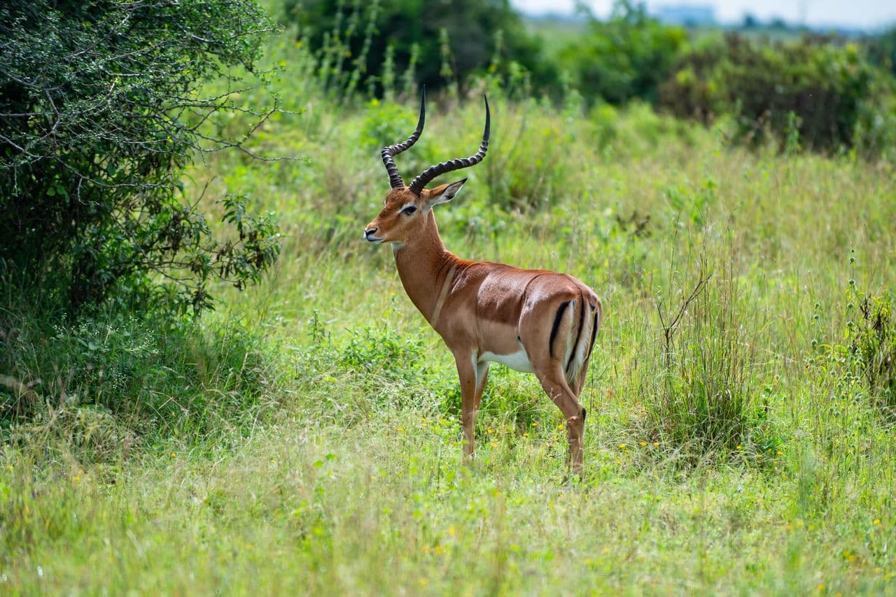 Parque nacional de Malka Mari